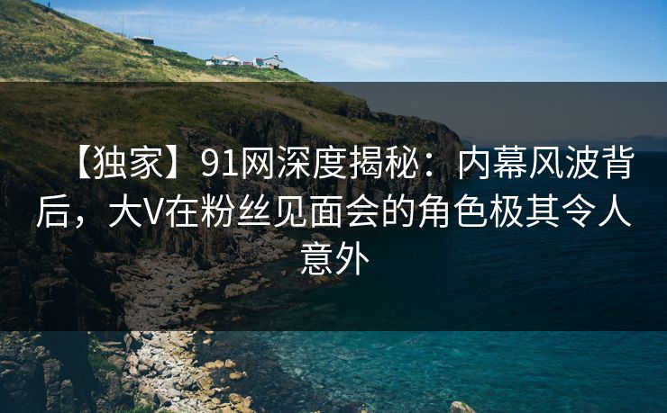【独家】91网深度揭秘：内幕风波背后，大V在粉丝见面会的角色极其令人意外