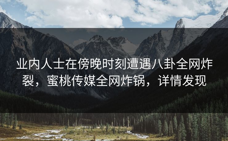 业内人士在傍晚时刻遭遇八卦全网炸裂，蜜桃传媒全网炸锅，详情发现