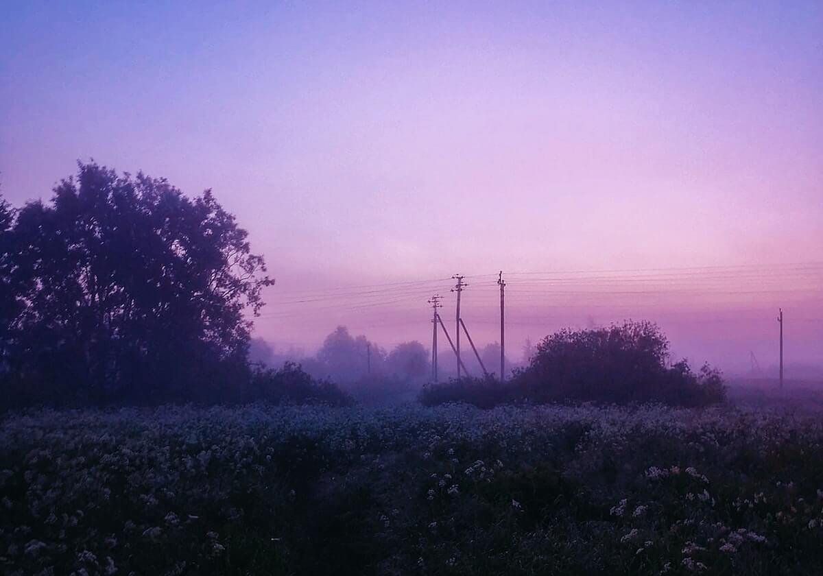 圈内人在今日凌晨遭遇热点事件 情不自禁，蘑菇影视在线观看全网炸锅，详情深扒