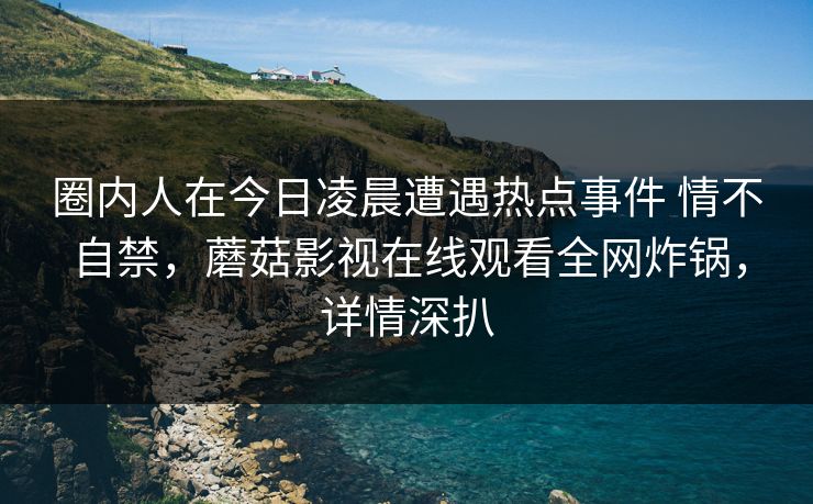 圈内人在今日凌晨遭遇热点事件 情不自禁，蘑菇影视在线观看全网炸锅，详情深扒