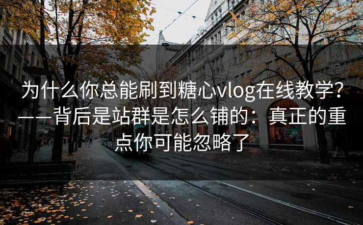 为什么你总能刷到糖心vlog在线教学？——背后是站群是怎么铺的：真正的重点你可能忽略了